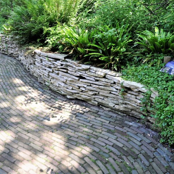 Steinplatten gestapelt - Gartenmauer Avifauna.