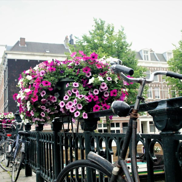Stimmungsvolles Foto Amsterdam.