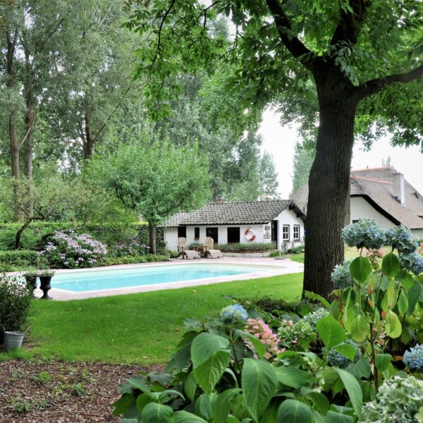Swimmingpool im Garten - Naturstein.