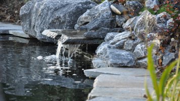 Graue Steinplatten für den Teich